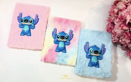 دفاتر ستيتش(٢)