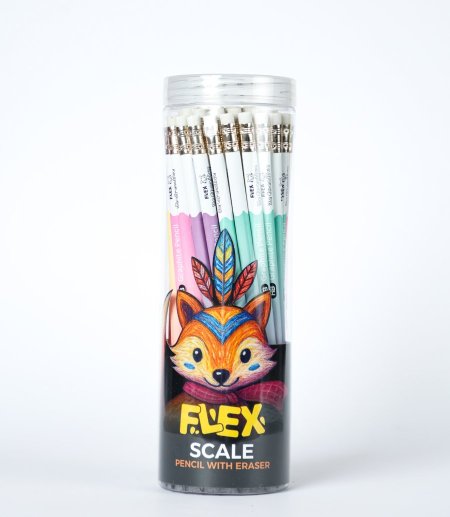 مجموعة اقلام رصاص scale flex